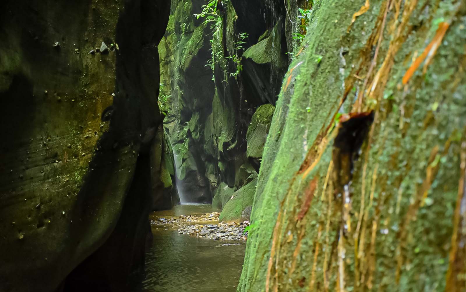 Canyon