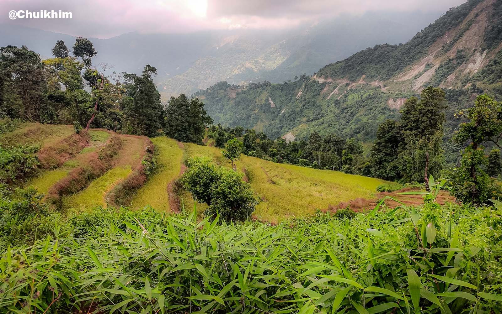 Chuikhim Homestay Booking
