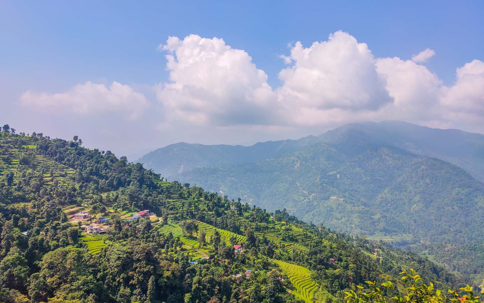 Chuikhim Homestay Booking