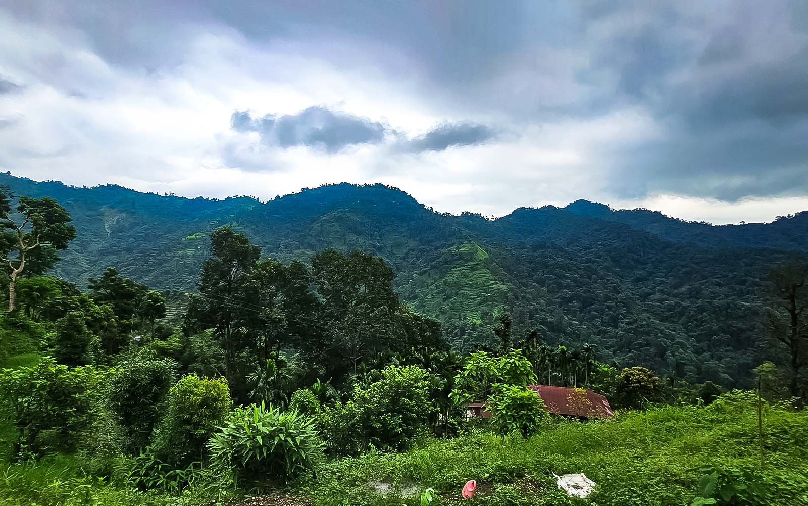 Yelbong Homestay