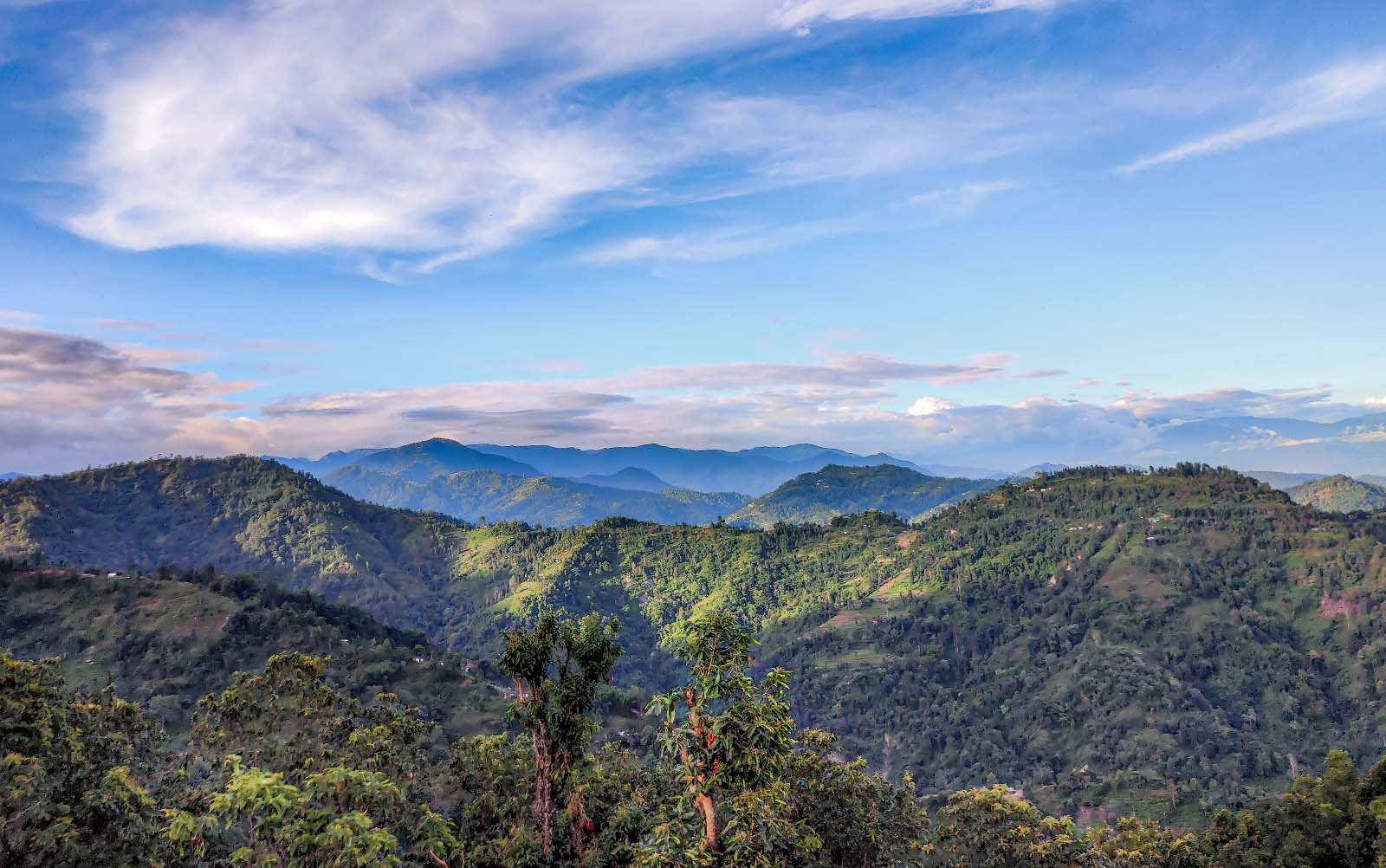 Yelbong Trekking Booking